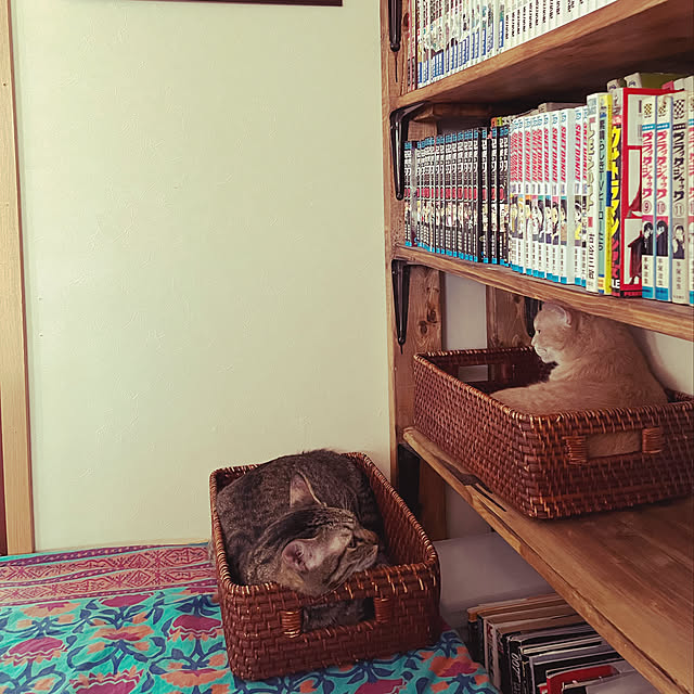 mikan161さんの実例写真