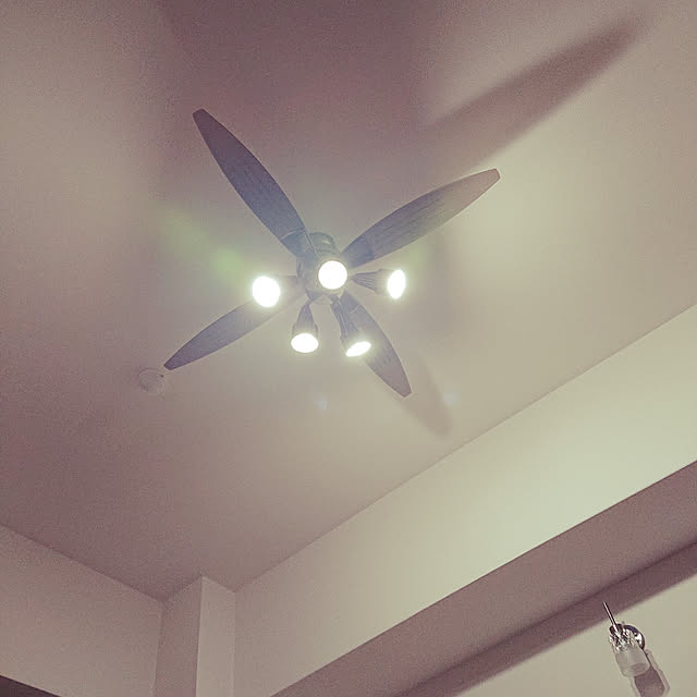 shuuuさんの部屋
