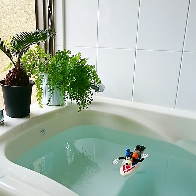 nonsuuさんの実例写真