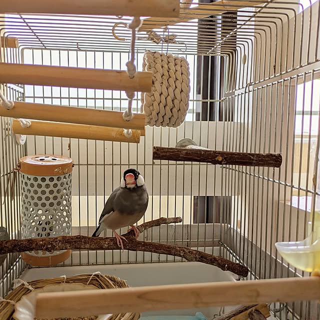 escargotさんの実例写真