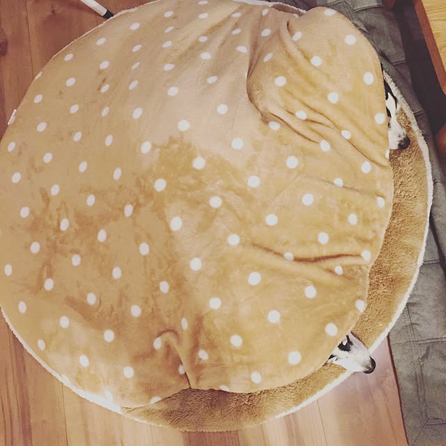 Mahiroさんの実例写真