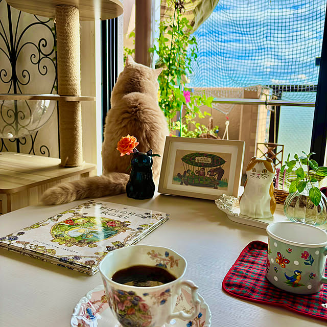 naokoさんの部屋