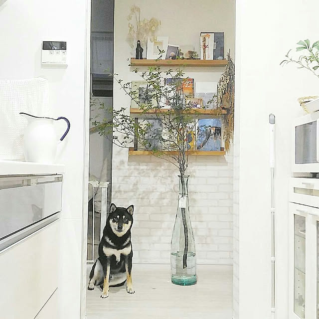 mayuさんの実例写真