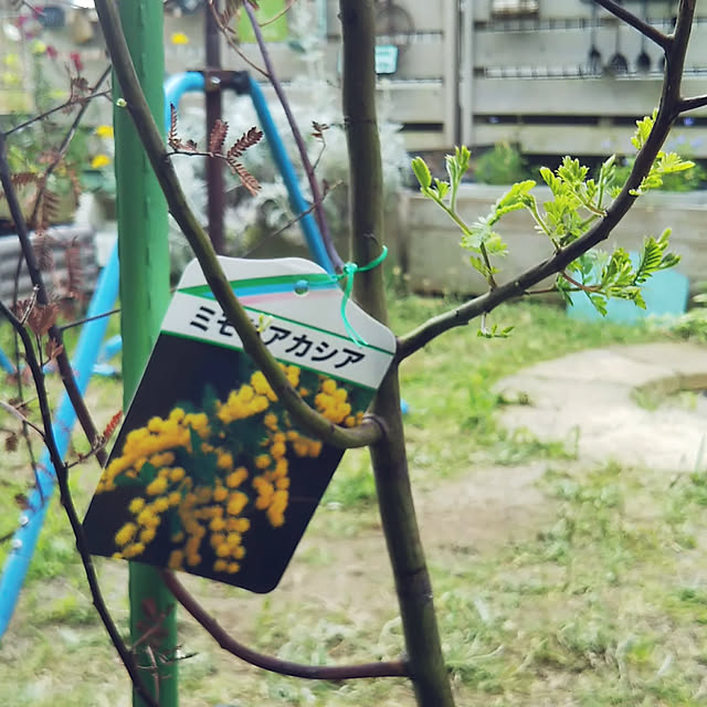 MMYSさんの実例写真