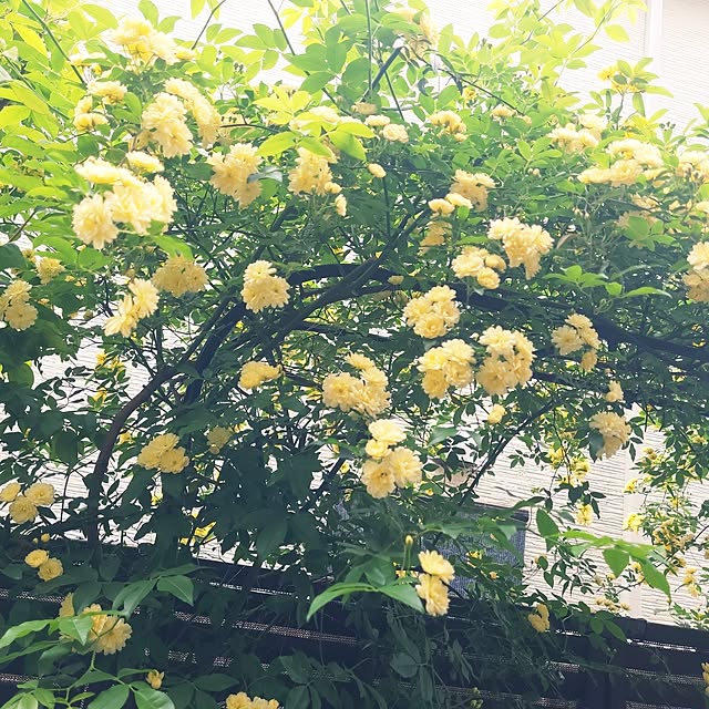 mimi828さんの部屋