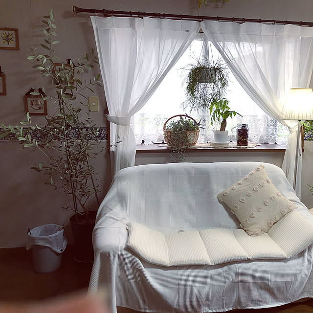 himetanさんの実例写真