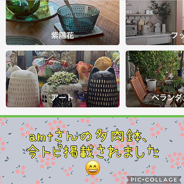 jijiさんの実例写真