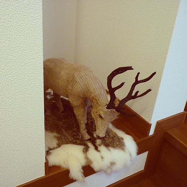 a.kndさんの実例写真