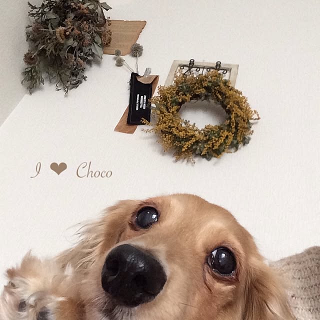 choco_tanさんの実例写真