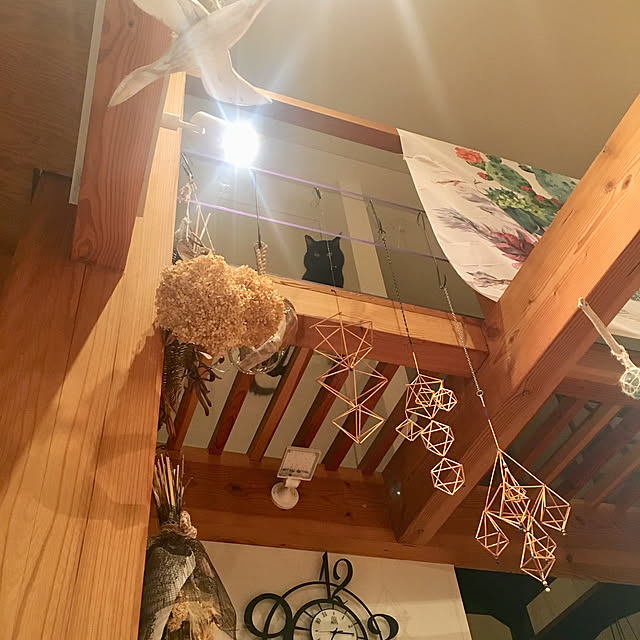 pitaさんの実例写真