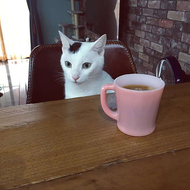 hakuさんの実例写真
