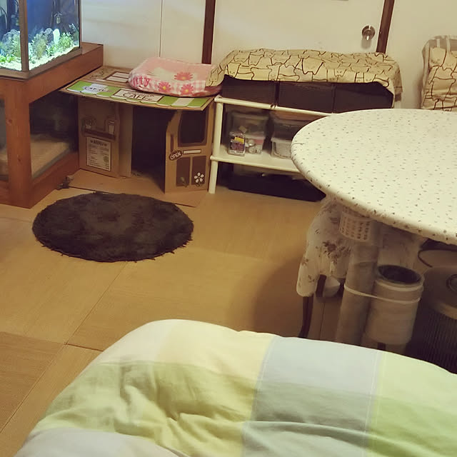 実例写真
