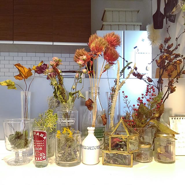 skavilleさんの実例写真