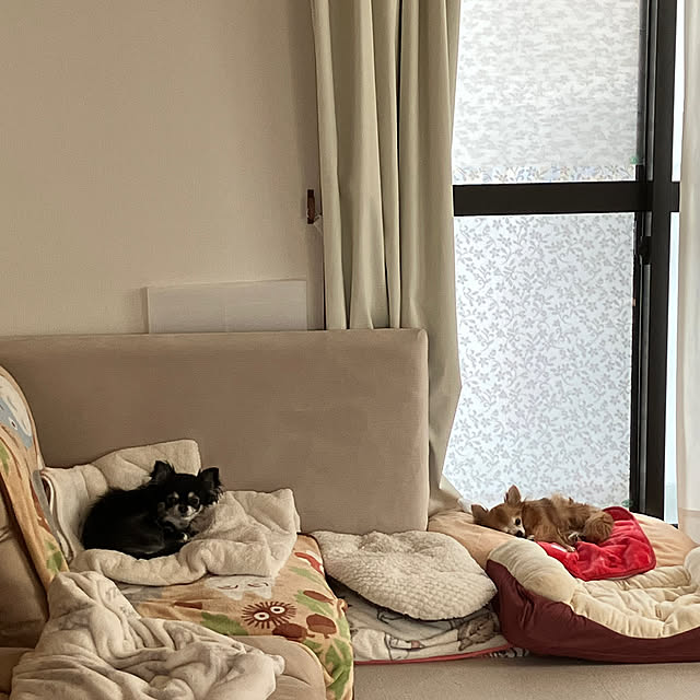 koroさんの部屋
