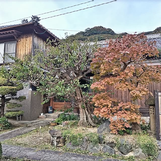 kuririnmamaさんの部屋