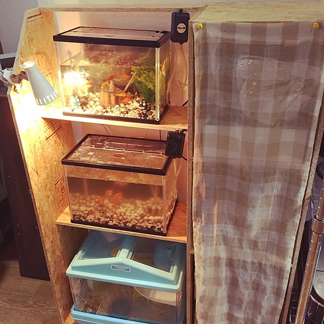 Rinaさんの実例写真