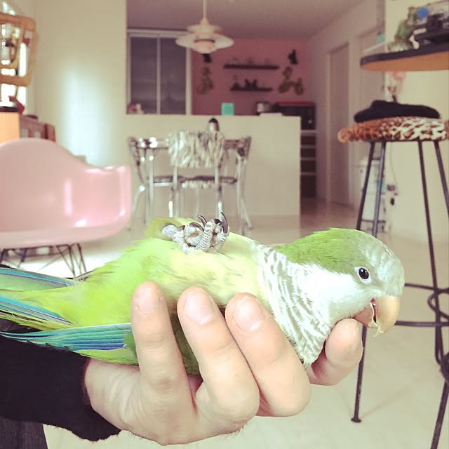 Katsumi.t100さんの実例写真
