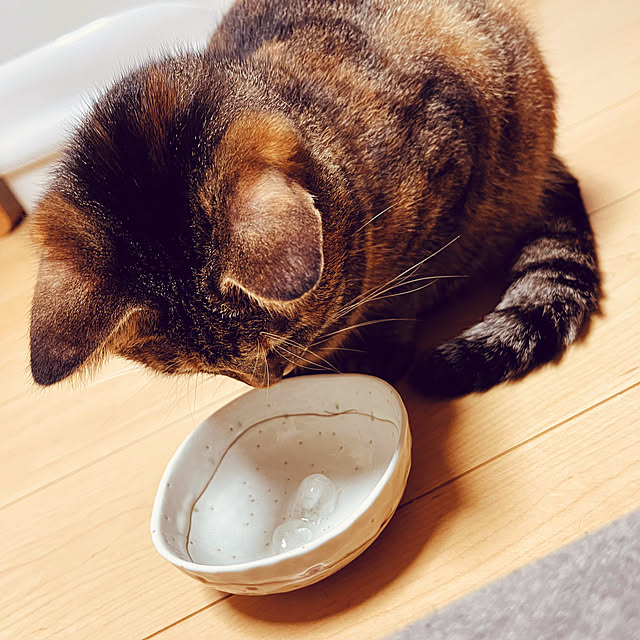 chiiさんの部屋