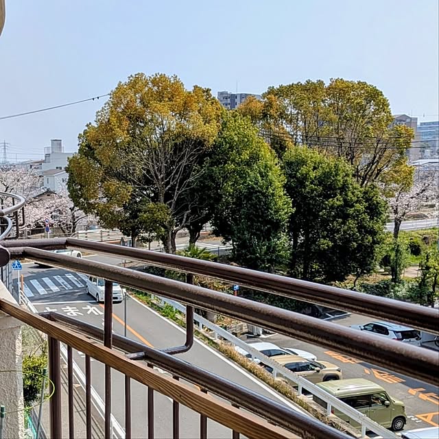 mi-saさんの部屋