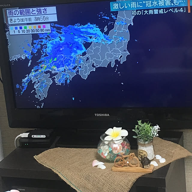 ダイソー/100均/DIY/ハンドメイド/棚のインテリア実例 - 2019-06-07 22:02:54