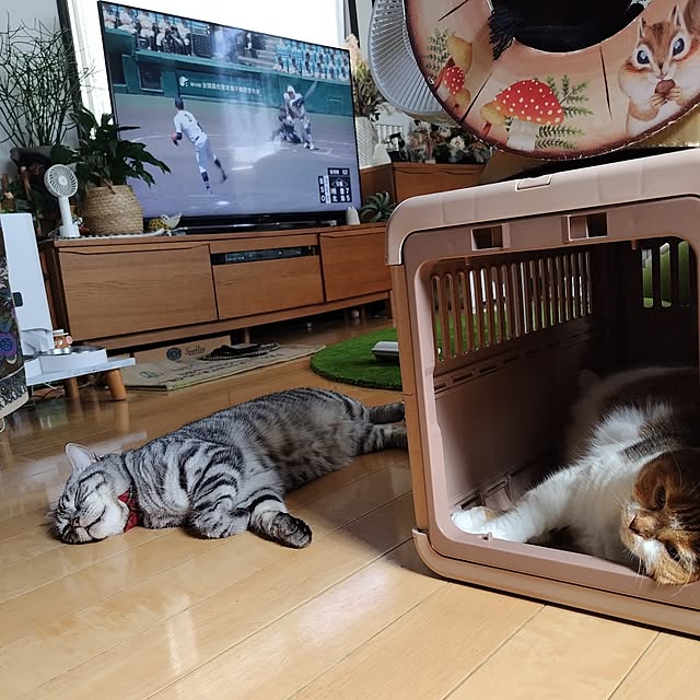 hiro3さんの実例写真
