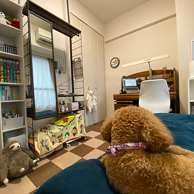 部屋全体のインテリア実例 - 2022-09-30 16:09:13