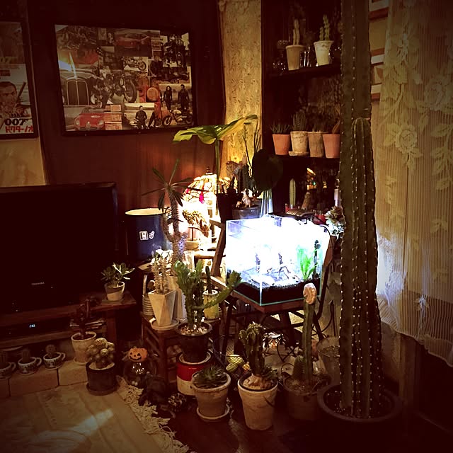 Masahideさんの実例写真