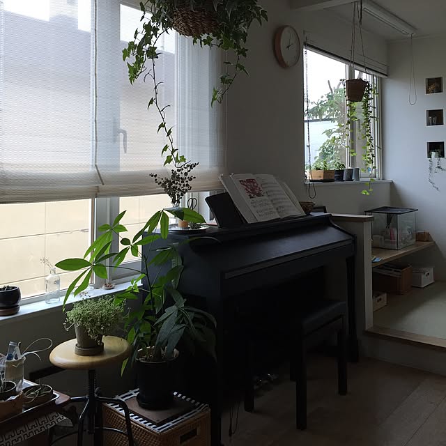 hinaさんの実例写真