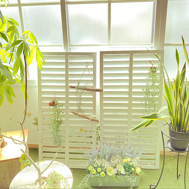 springさんの実例写真