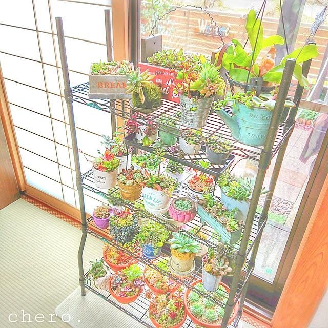 chero.さんの実例写真