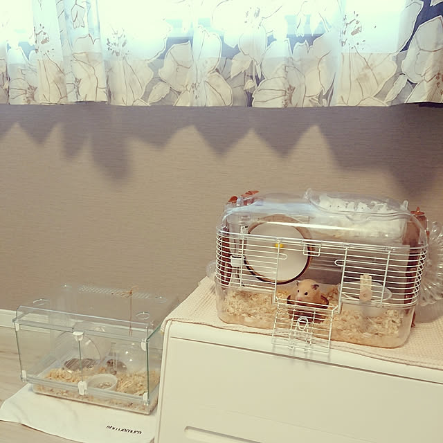 rabさんの実例写真
