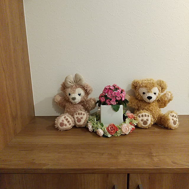 sakitiさんの実例写真
