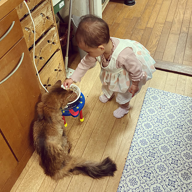 yukarinさんの実例写真