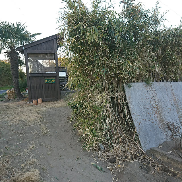 TOUEMONさんの実例写真