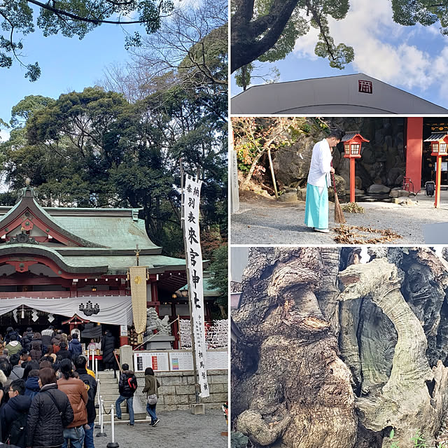 実例写真