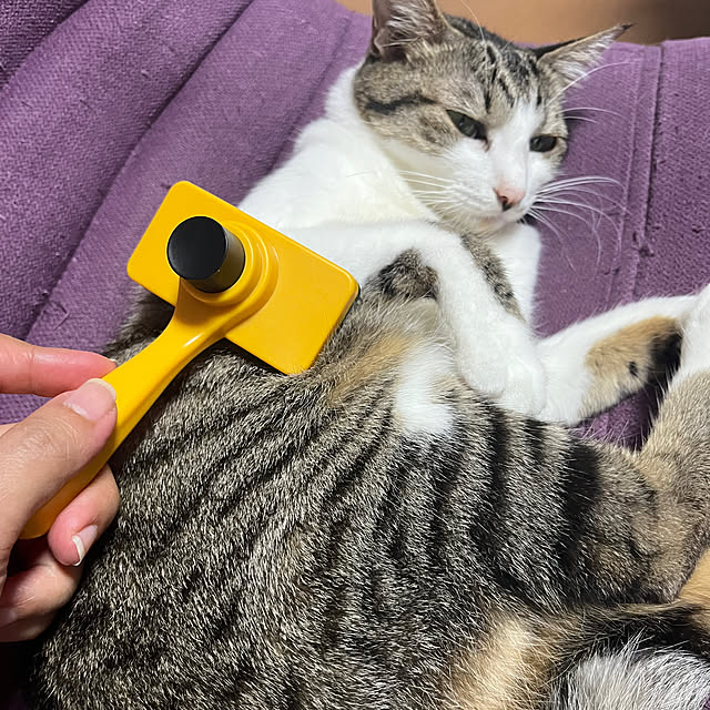 nacchi4さんの実例写真