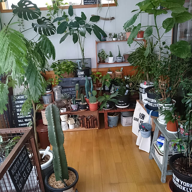 tikuwaさんの実例写真