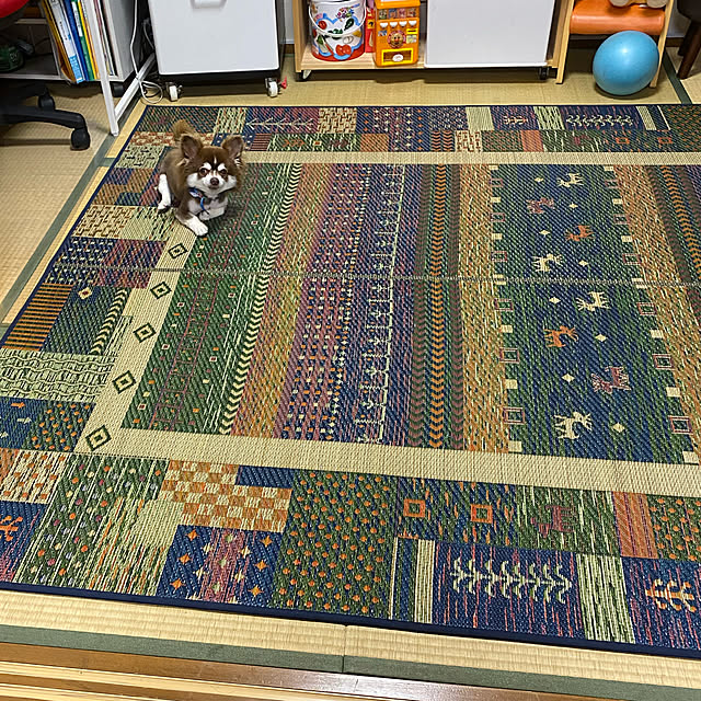 chIoeさんの実例写真