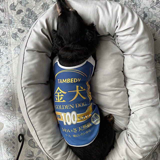 youmitsuさんの実例写真
