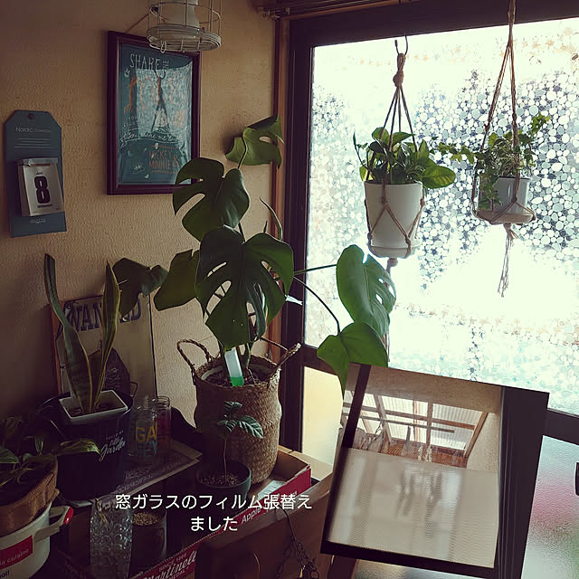 fukuさんの実例写真