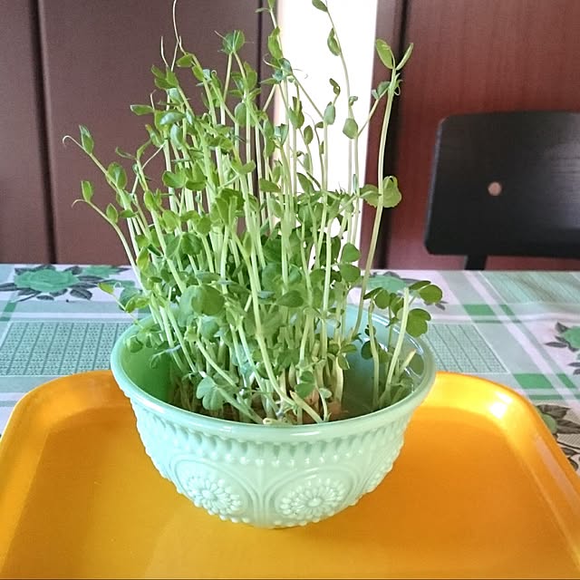 MIYAMIYAさんの実例写真