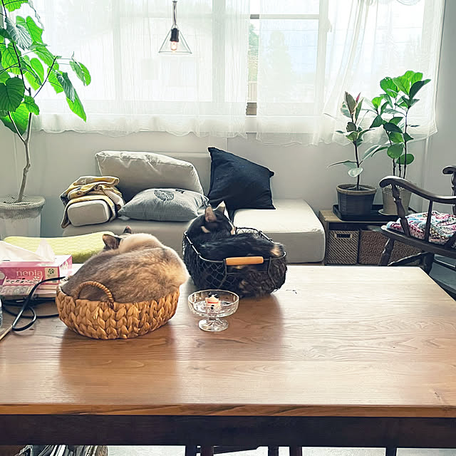 a.f.さんの部屋