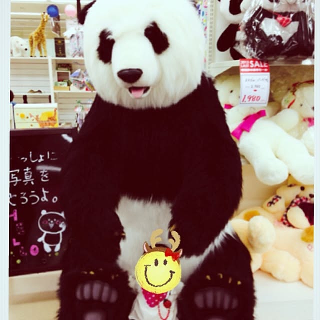 ainaさんの実例写真