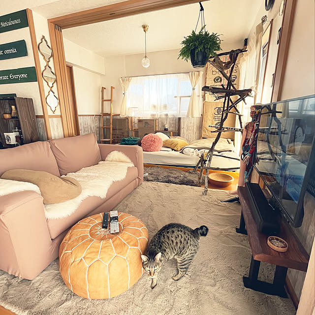Mさんの実例写真