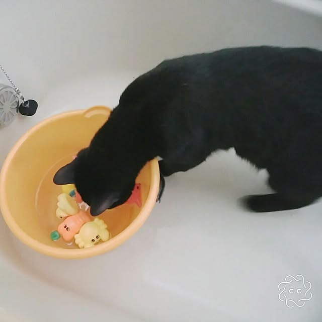 taleo07さんの実例写真