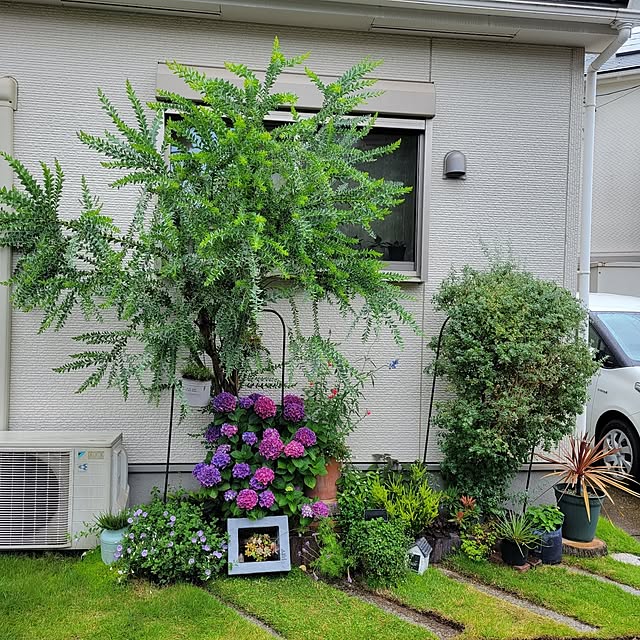 masarinn.さんの部屋