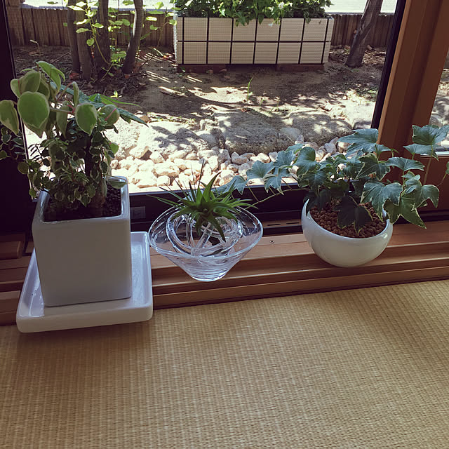 nikoさんの実例写真