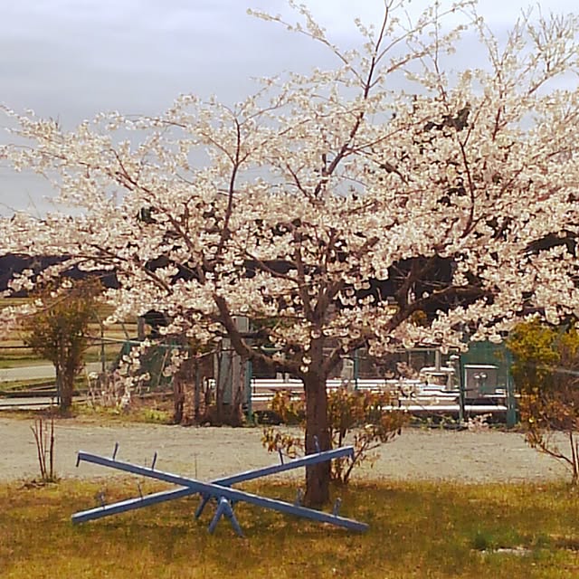 rwpiheさんの実例写真