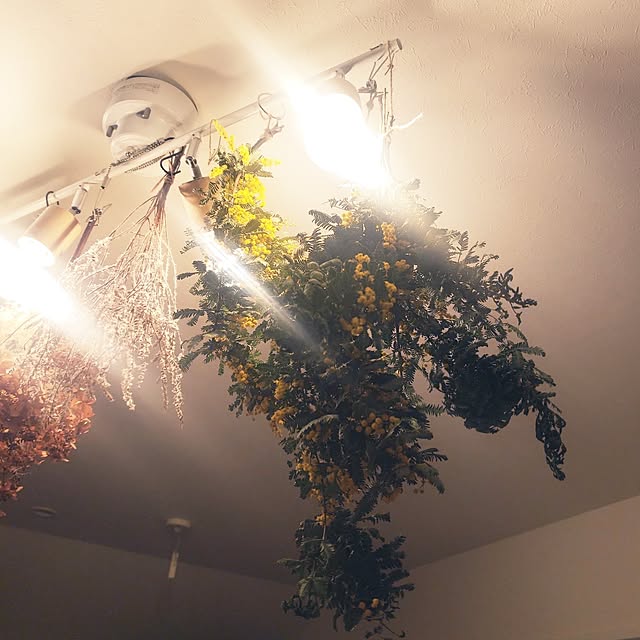 dropさんの実例写真