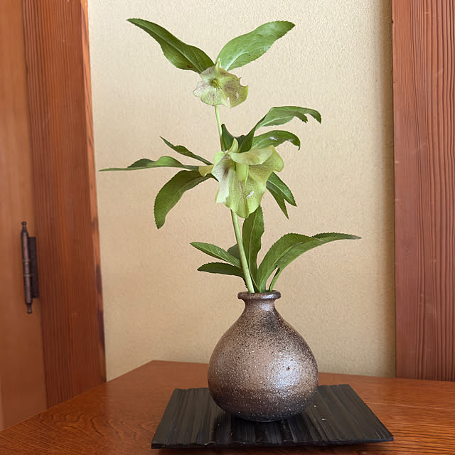 sakakenさんの実例写真